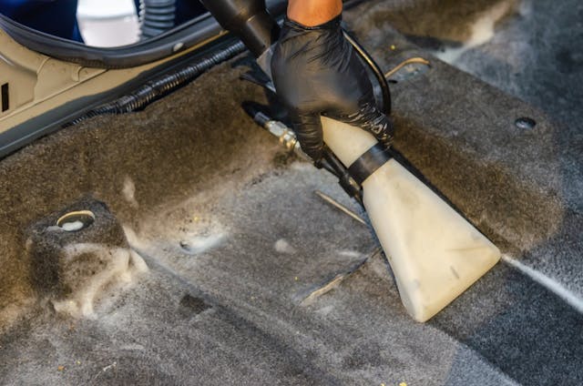 Professional carpet cleaning Scottsdale