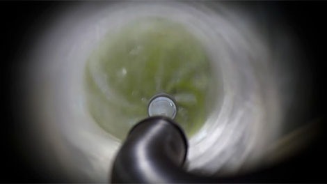 Auto Upholstery Cleaning